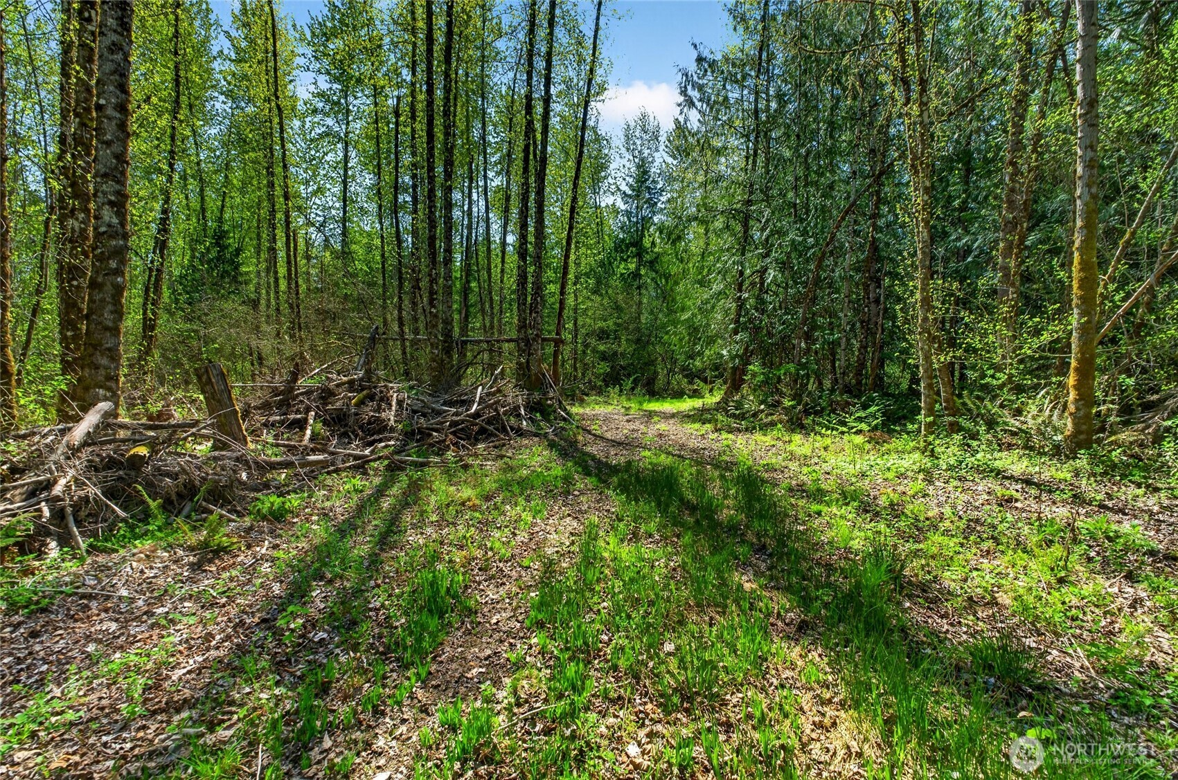 28461 Mountain Hwy E, Graham, WA 98338