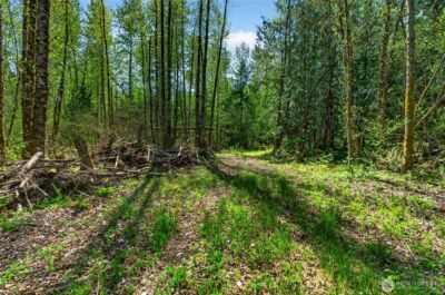 28461 Mountain Hwy E, Graham, WA 98338 - Photo 13