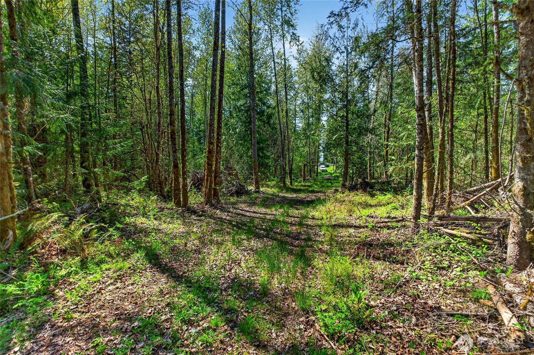 28461 Mountain Hwy E, Graham, WA 98338