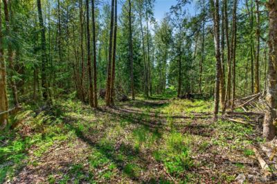 28461 Mountain Hwy E, Graham, WA 98338 - Photo 14