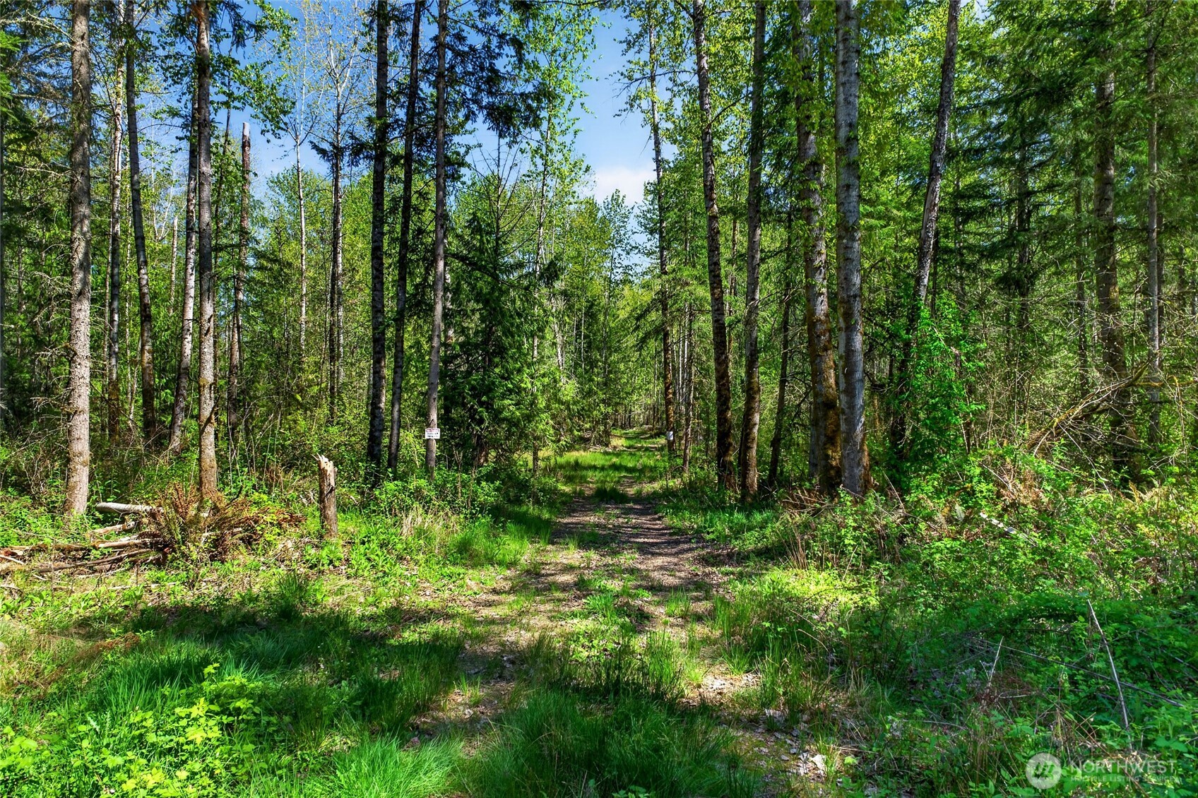 28461 Mountain Hwy E, Graham, WA 98338