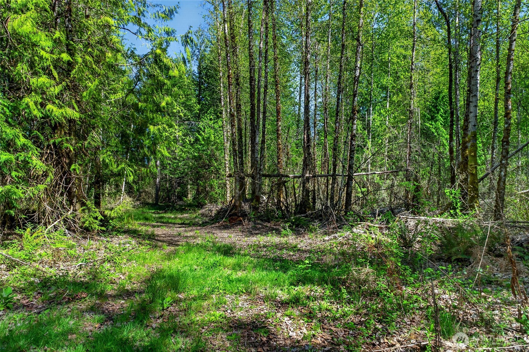 28461 Mountain Hwy E, Graham, WA 98338