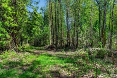 28461 Mountain Hwy E, Graham, WA 98338 - Photo 9