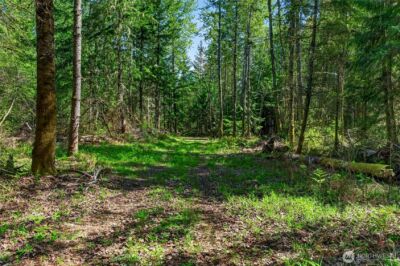28461 Mountain Hwy E, Graham, WA 98338 - Photo 10
