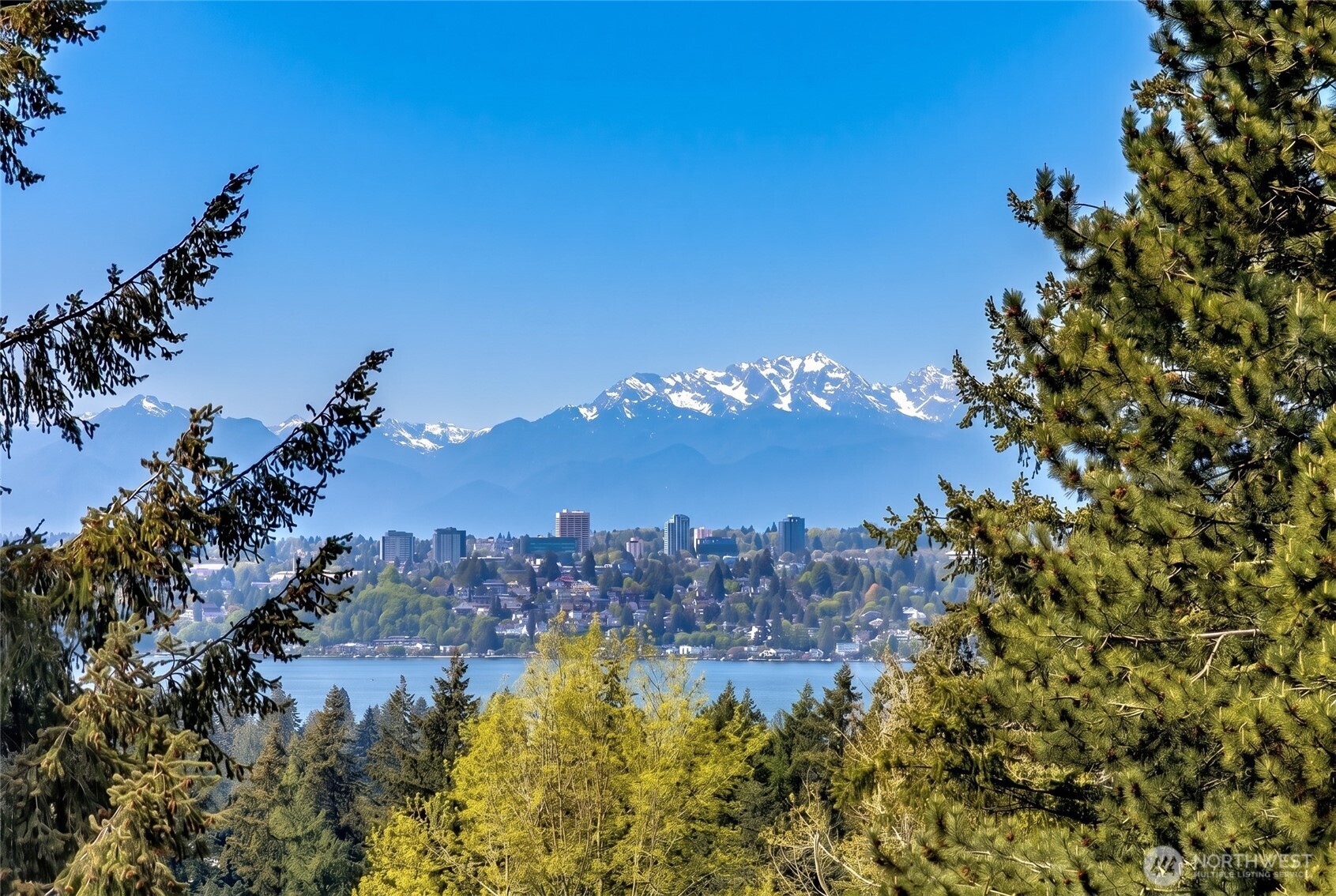 11110 NE 41st Drive #49, Kirkland, WA 98033