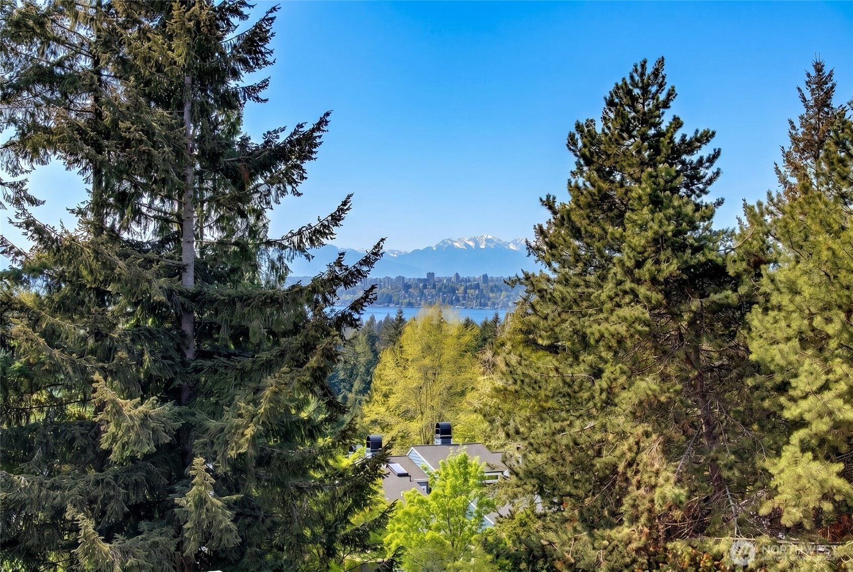 11110 NE 41st Drive #49, Kirkland, WA 98033