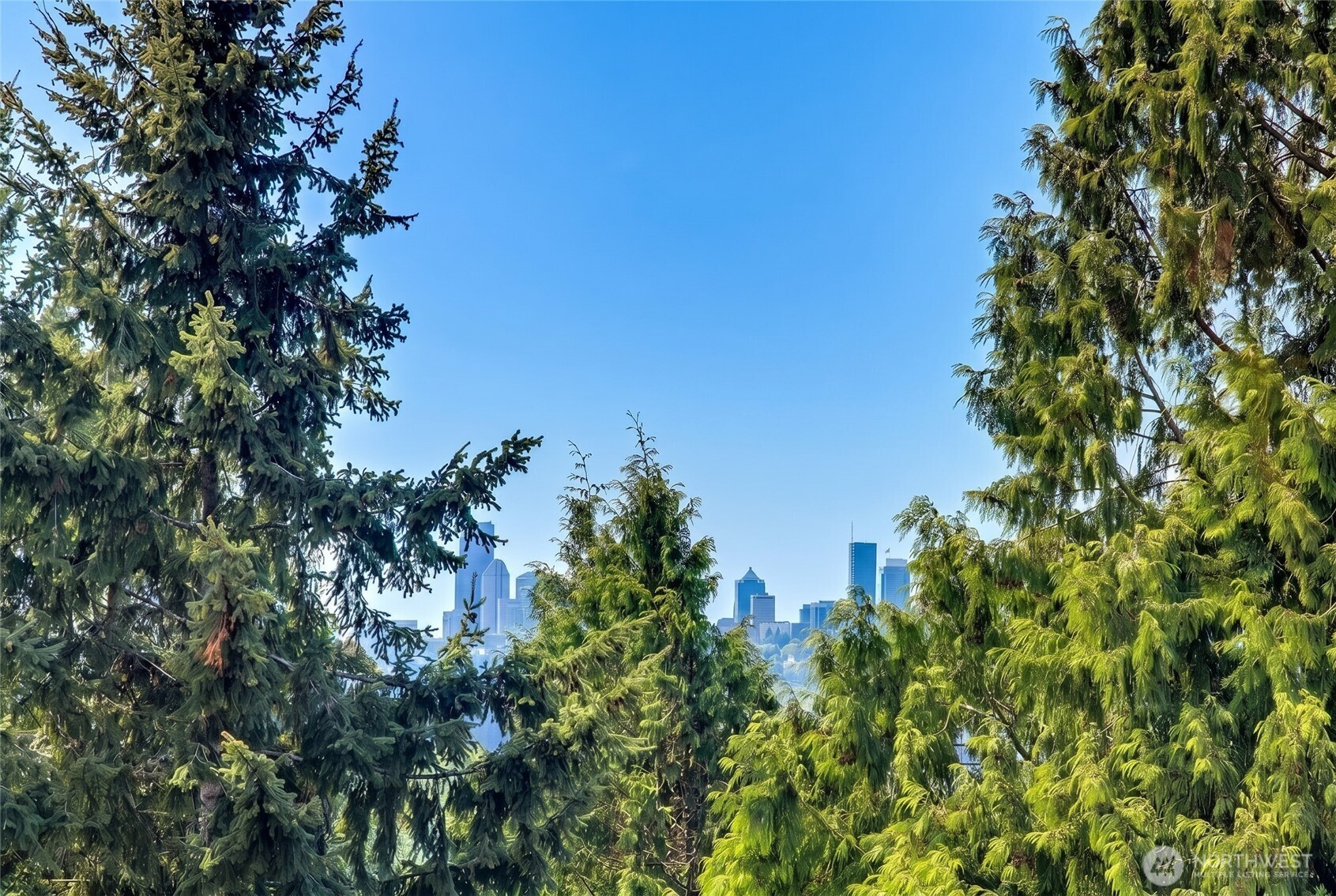 11110 NE 41st Drive #49, Kirkland, WA 98033