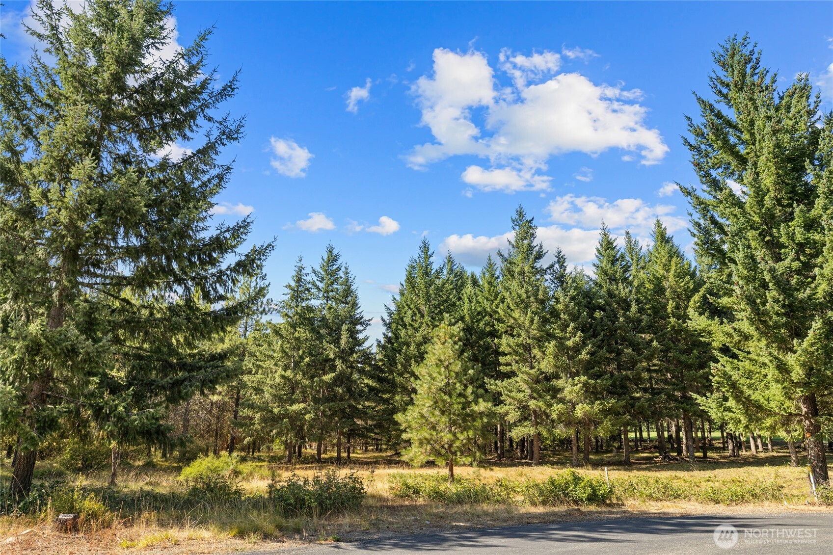 51 Big Bug Lane , Cle Elum, WA 98922