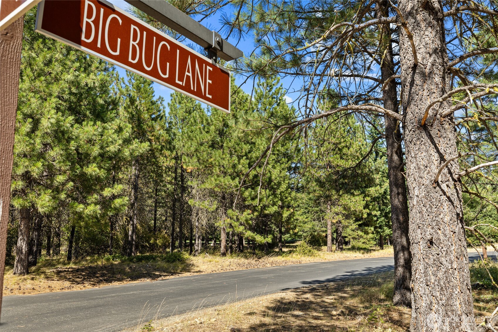 51 Big Bug Lane , Cle Elum, WA 98922