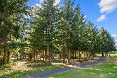 51 Big Bug Lane , Cle Elum, WA 98922 - Photo 11