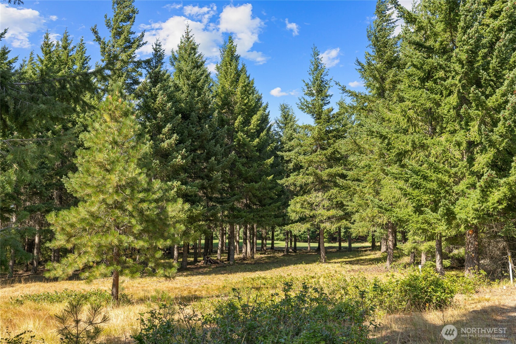 51 Big Bug Lane , Cle Elum, WA 98922