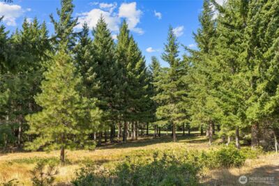51 Big Bug Lane , Cle Elum, WA 98922 - Photo 12