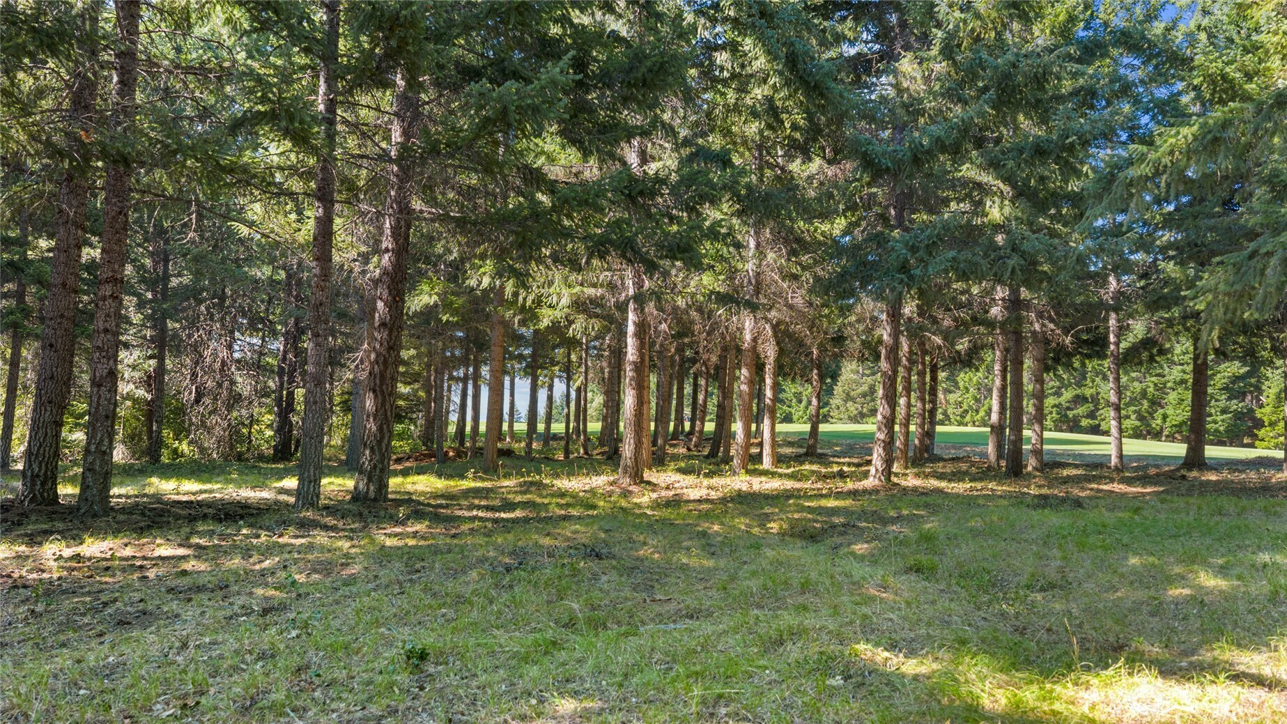 51 Big Bug Lane , Cle Elum, WA 98922