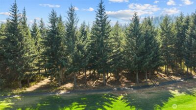 51 Big Bug Lane , Cle Elum, WA 98922 - Photo 6