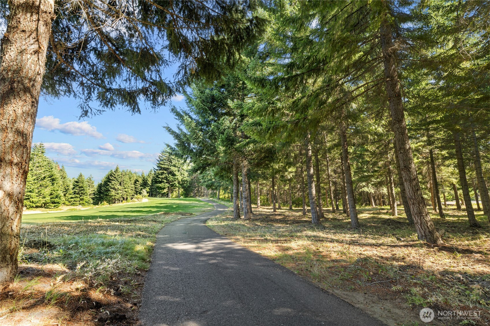 51 Big Bug Lane , Cle Elum, WA 98922