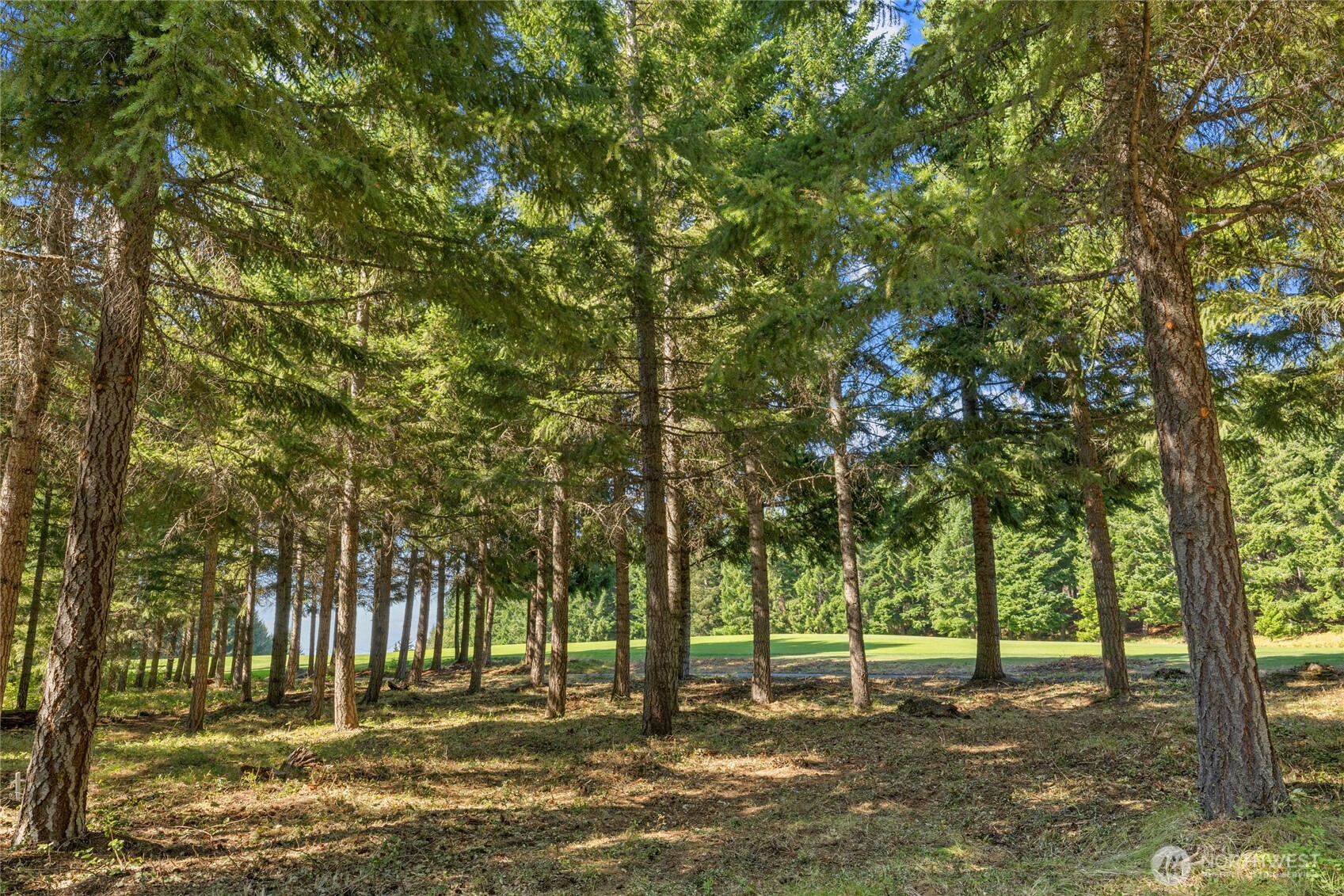 51 Big Bug Lane , Cle Elum, WA 98922