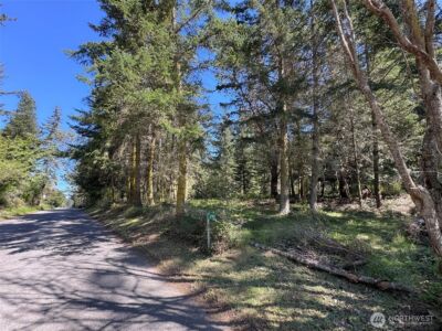392 Holgerson Road #Lot 3, Sequim, WA 98382 - Photo 15