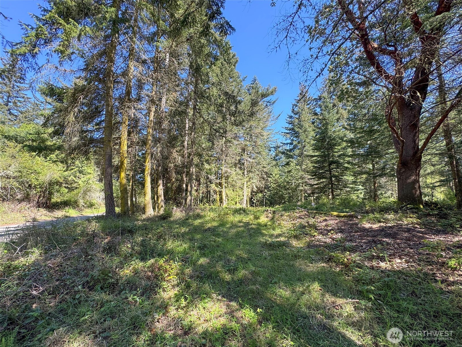 392 Holgerson Road #Lot 3, Sequim, WA 98382