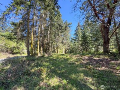 392 Holgerson Road #Lot 3, Sequim, WA 98382 - Photo 16