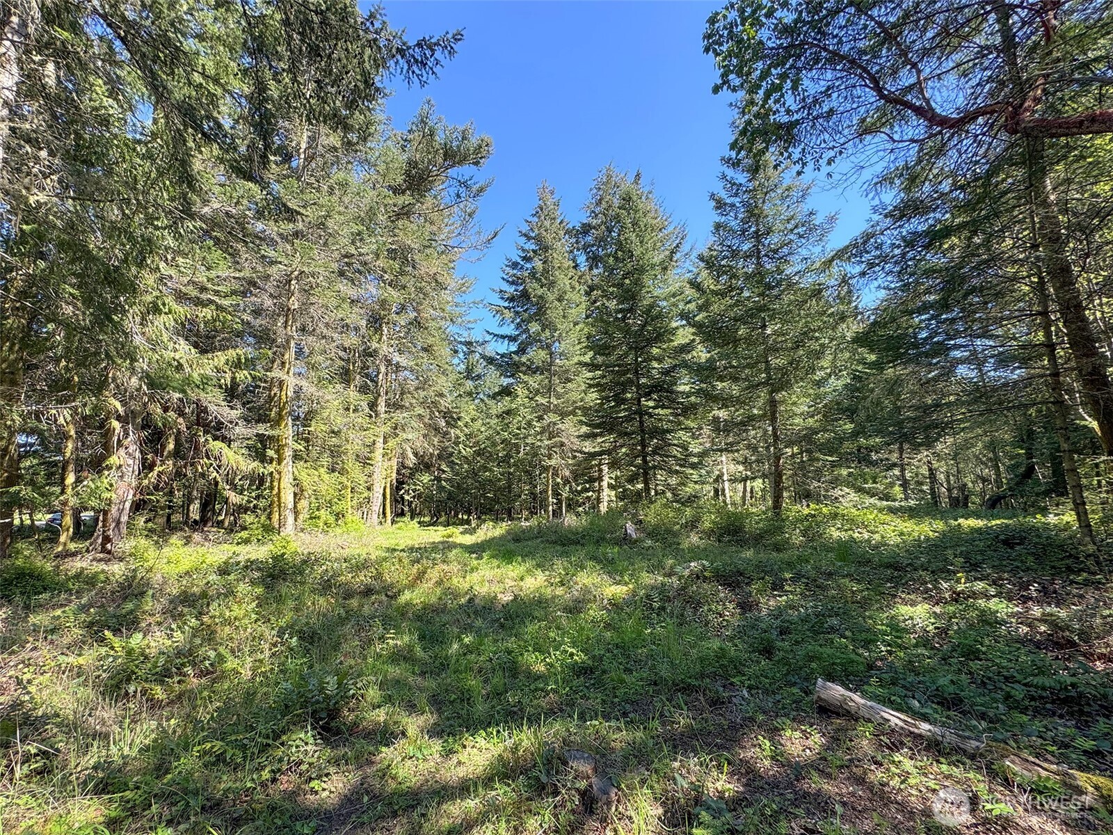 392 Holgerson Road #Lot 3, Sequim, WA 98382