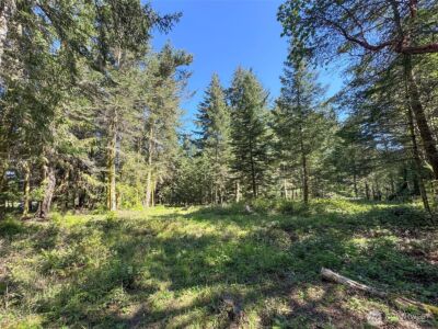 392 Holgerson Road #Lot 3, Sequim, WA 98382 - Photo 17
