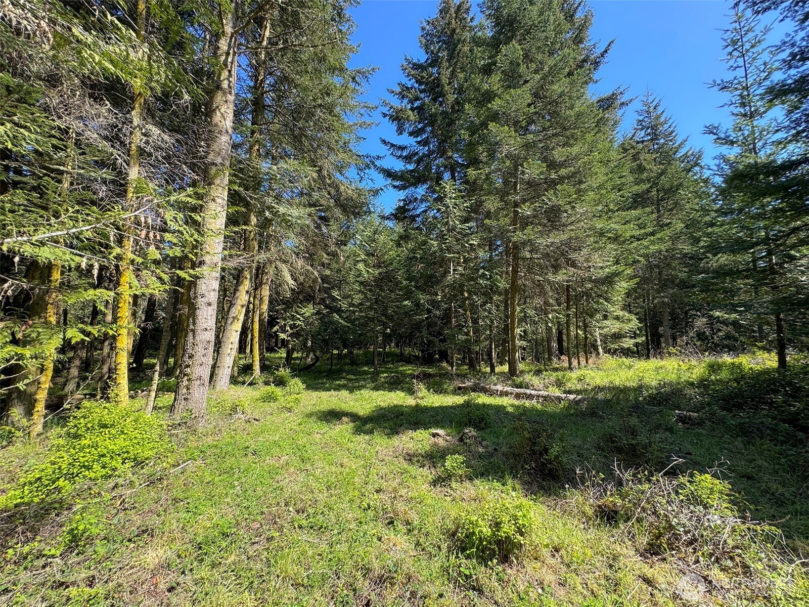 392 Holgerson Road #Lot 3, Sequim, WA 98382