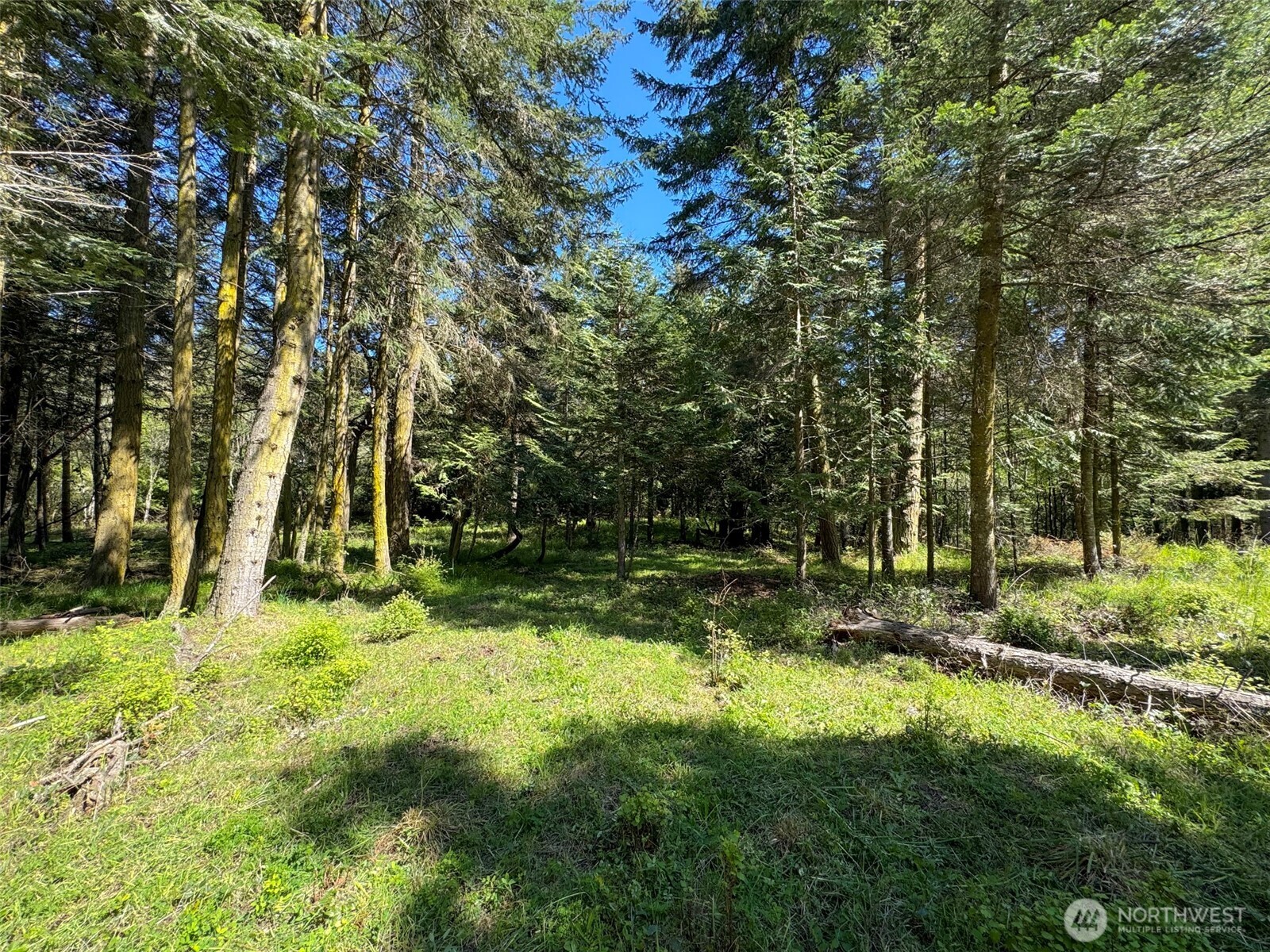 392 Holgerson Road #Lot 3, Sequim, WA 98382