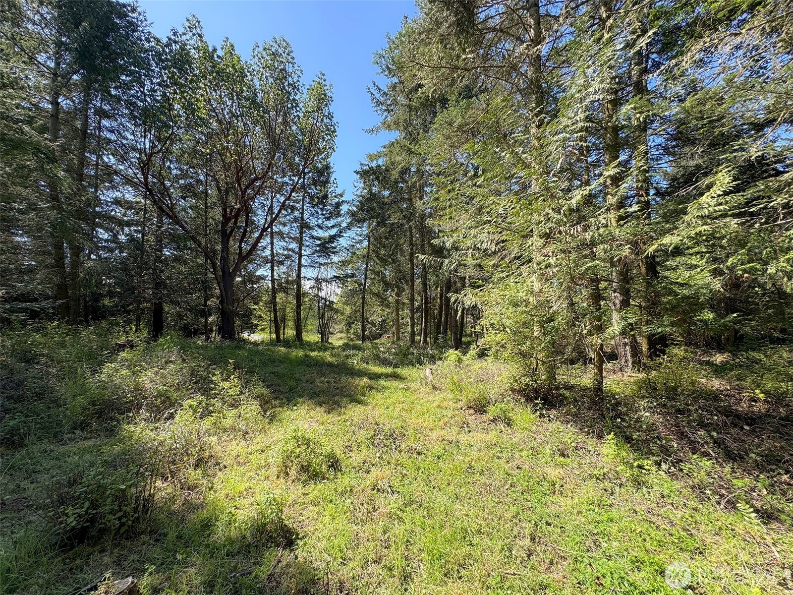 392 Holgerson Road #Lot 3, Sequim, WA 98382
