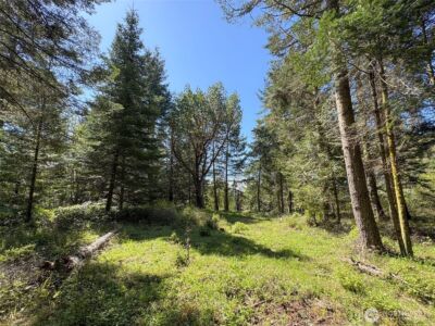 392 Holgerson Road #Lot 3, Sequim, WA 98382 - Photo 21