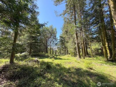 392 Holgerson Road #Lot 3, Sequim, WA 98382 - Photo 22