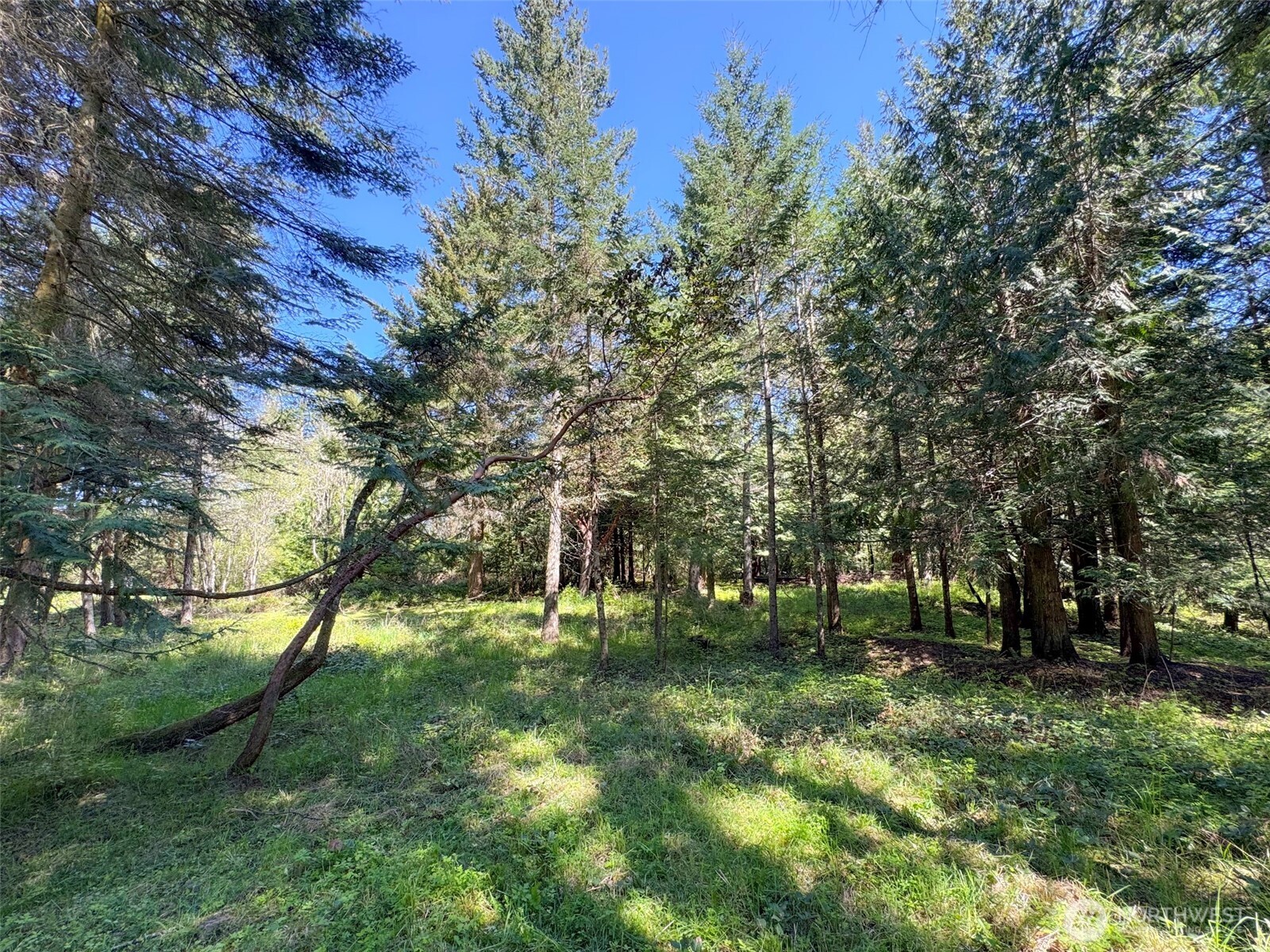 392 Holgerson Road #Lot 3, Sequim, WA 98382