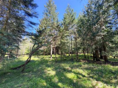 392 Holgerson Road #Lot 3, Sequim, WA 98382 - Photo 23