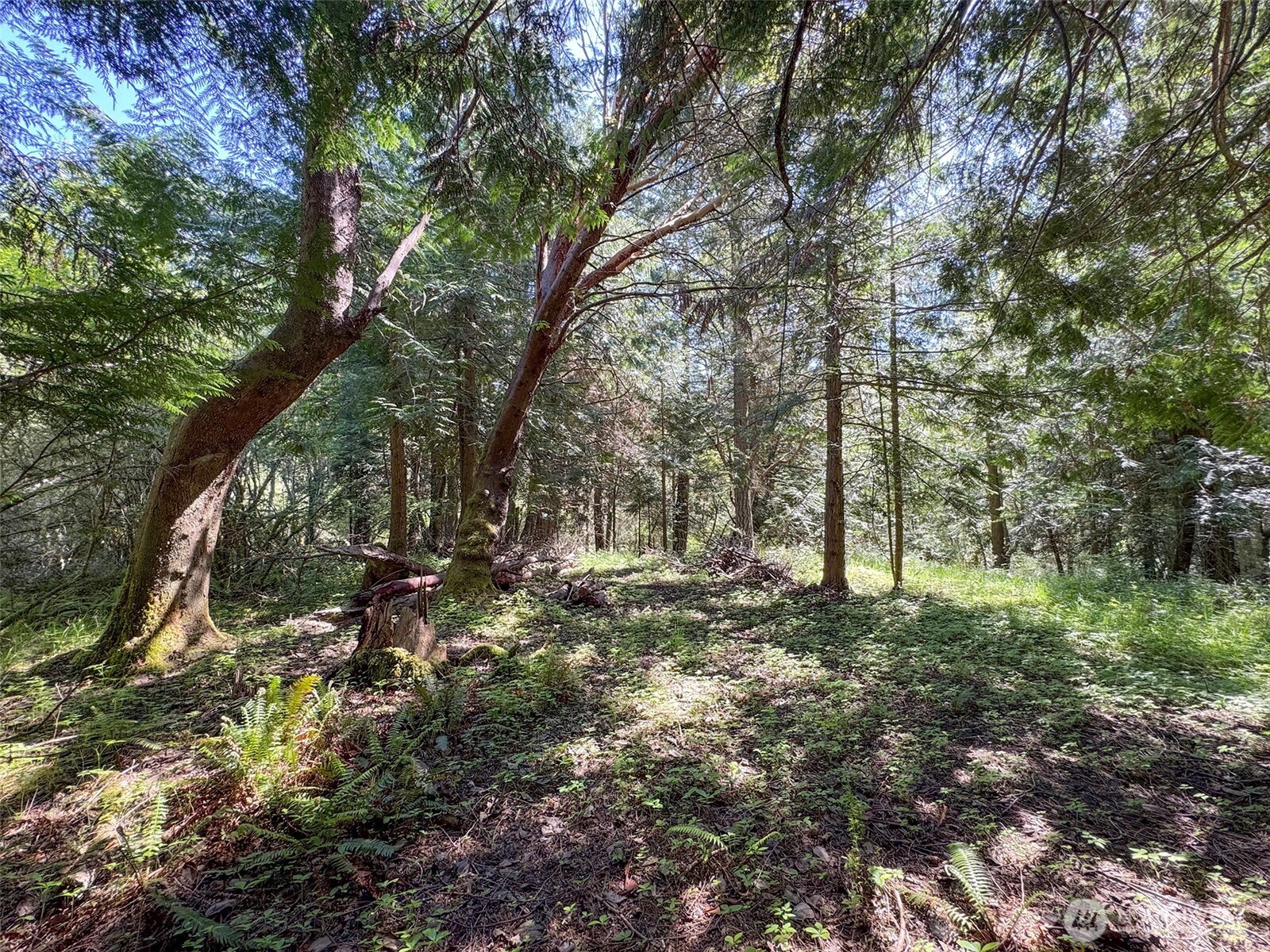 392 Holgerson Road #Lot 3, Sequim, WA 98382