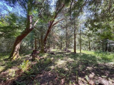 392 Holgerson Road #Lot 3, Sequim, WA 98382 - Photo 25