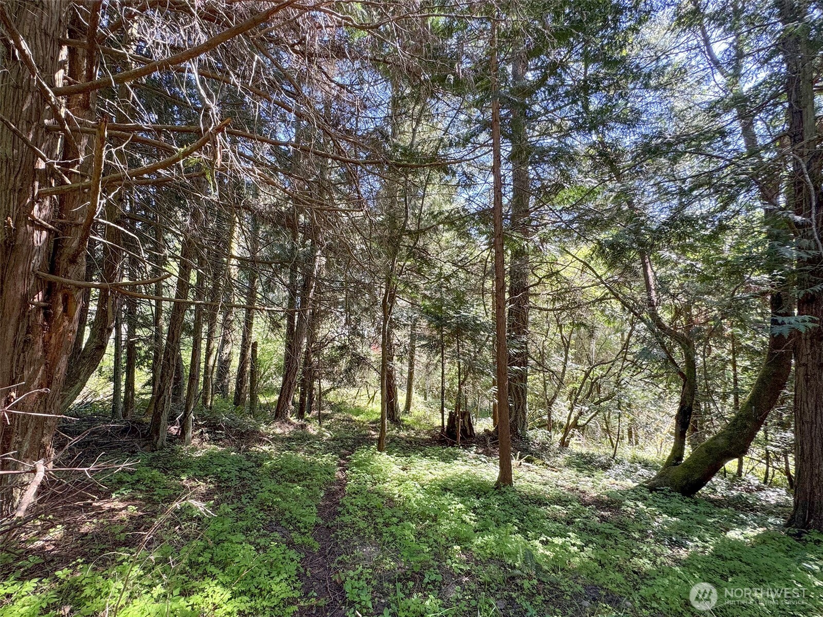 392 Holgerson Road #Lot 3, Sequim, WA 98382