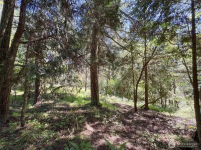 392 Holgerson Road #Lot 3, Sequim, WA 98382 - Photo 27