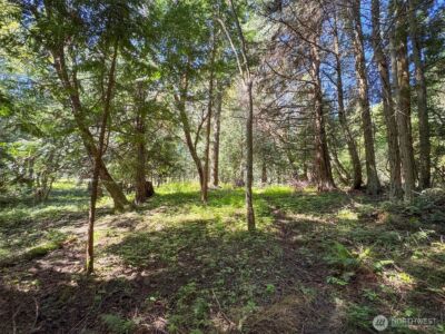 392 Holgerson Road #Lot 3, Sequim, WA 98382 - Photo 28