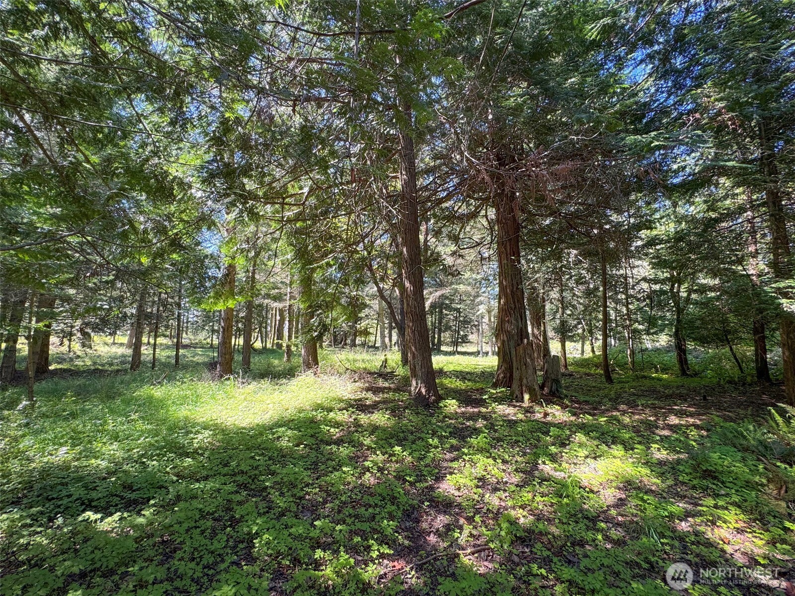 392 Holgerson Road #Lot 3, Sequim, WA 98382