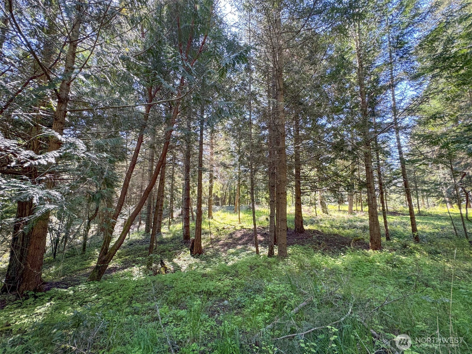 392 Holgerson Road #Lot 3, Sequim, WA 98382