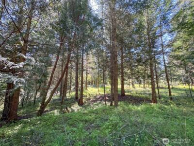 392 Holgerson Road #Lot 3, Sequim, WA 98382 - Photo 30
