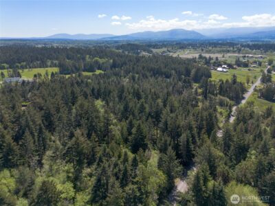 392 Holgerson Road #Lot 3, Sequim, WA 98382 - Photo 3