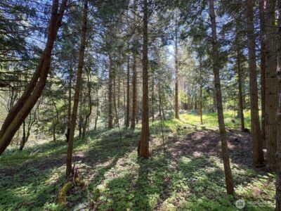 392 Holgerson Road #Lot 3, Sequim, WA 98382 - Photo 31