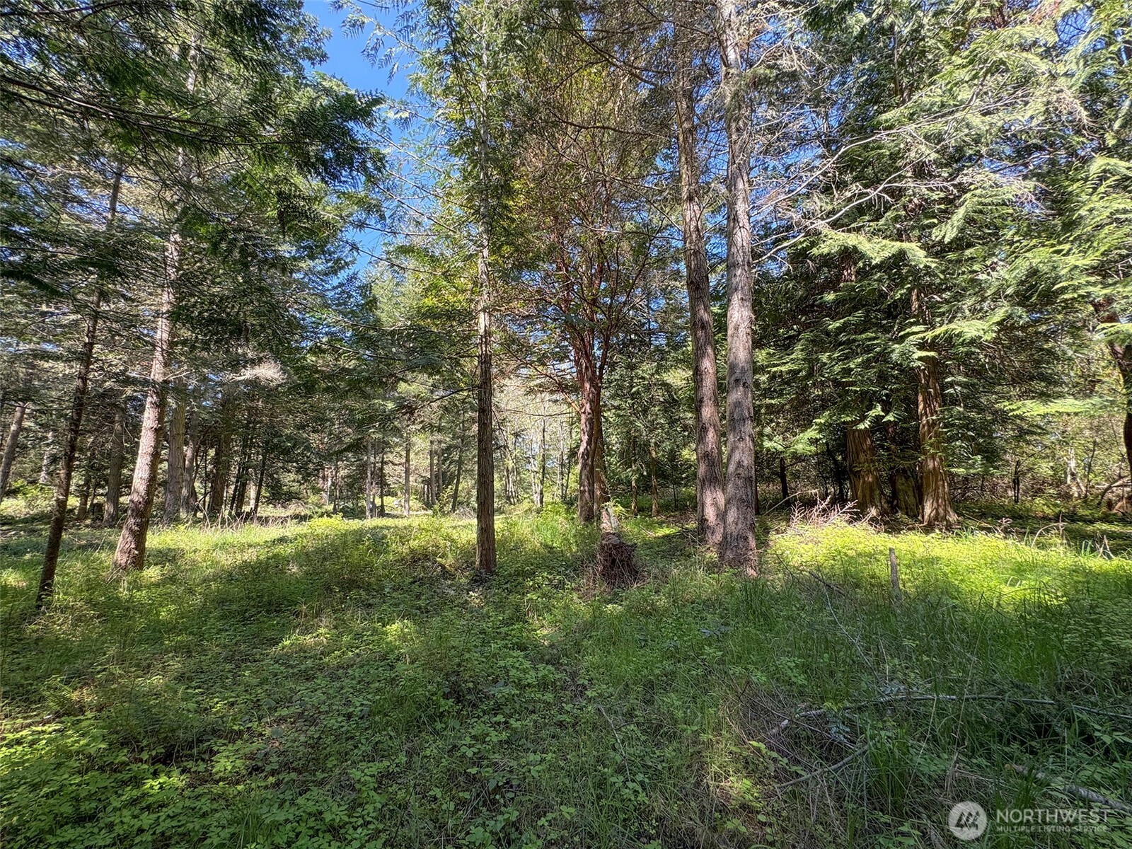 392 Holgerson Road #Lot 3, Sequim, WA 98382