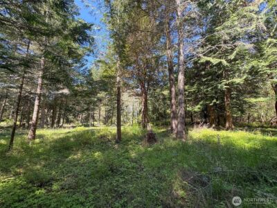 392 Holgerson Road #Lot 3, Sequim, WA 98382 - Photo 32