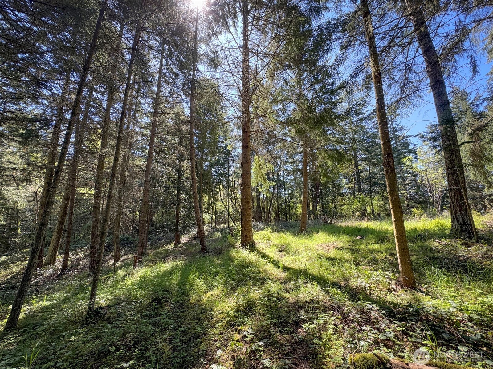 392 Holgerson Road #Lot 3, Sequim, WA 98382