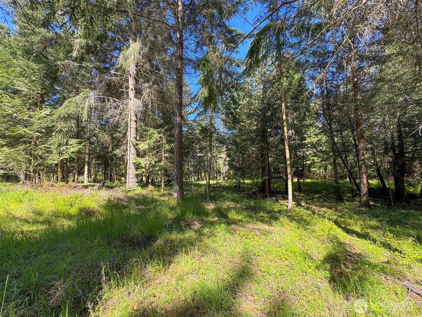 392 Holgerson Road #Lot 3, Sequim, WA 98382