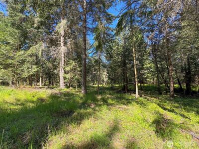 392 Holgerson Road #Lot 3, Sequim, WA 98382 - Photo 34