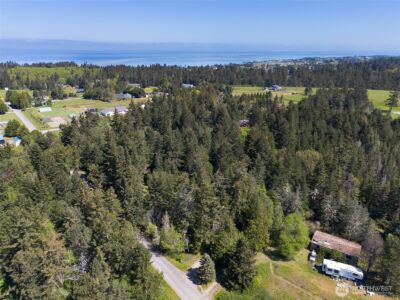 392 Holgerson Road #Lot 3, Sequim, WA 98382 - Photo 36