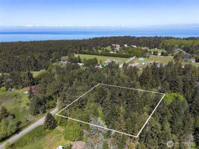 392 Holgerson Road #Lot 3, Sequim, WA 98382 - Photo 38