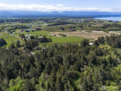 392 Holgerson Road #Lot 3, Sequim, WA 98382 - Photo 39